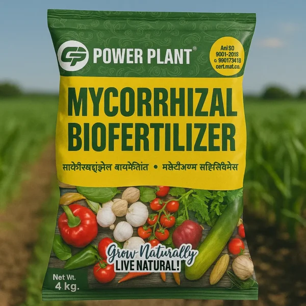 Mycorrhiza