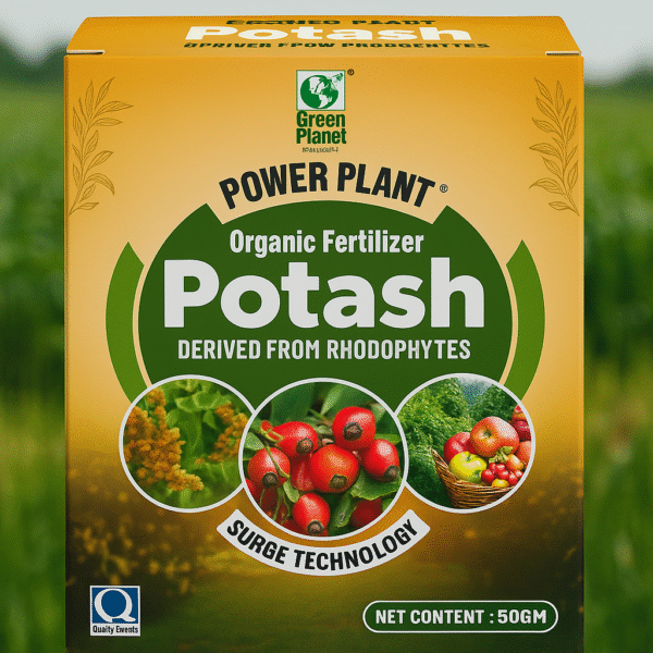 Organic Fertilizer Potash
