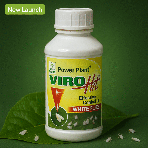 Virohit